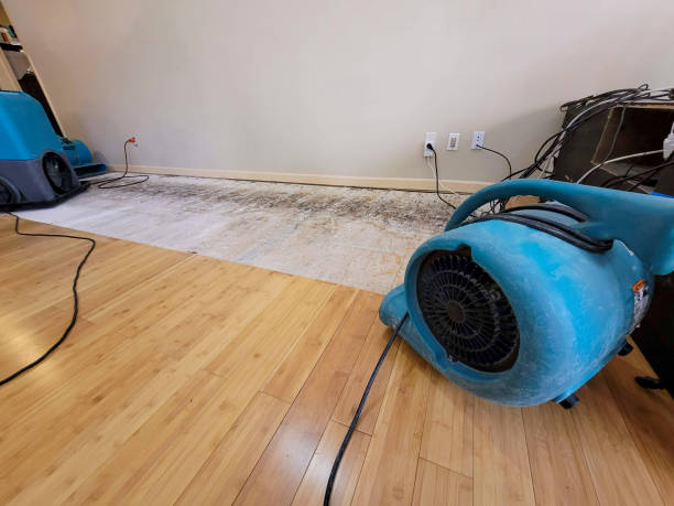 Professional Structural Drying technician working in Okmulgee, OK